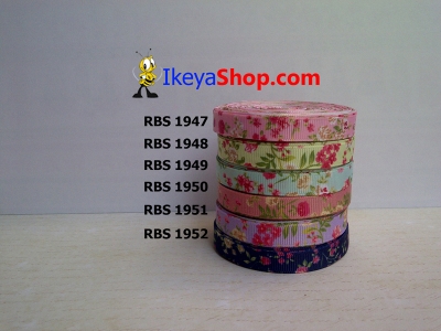 Pita RBS 1947 1952  large2